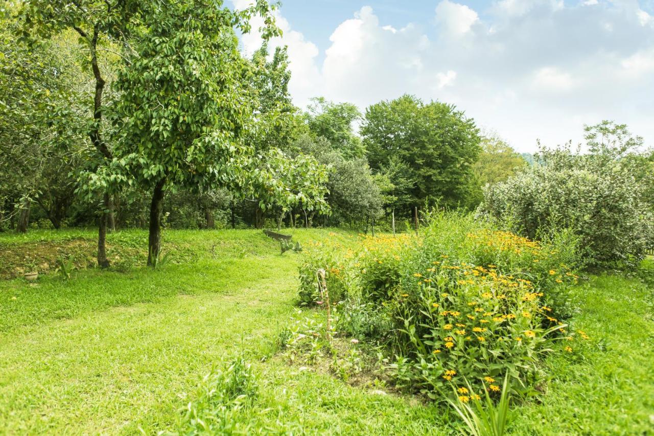 Bed and Breakfast Daraselia61 Zugdidi Exterior foto